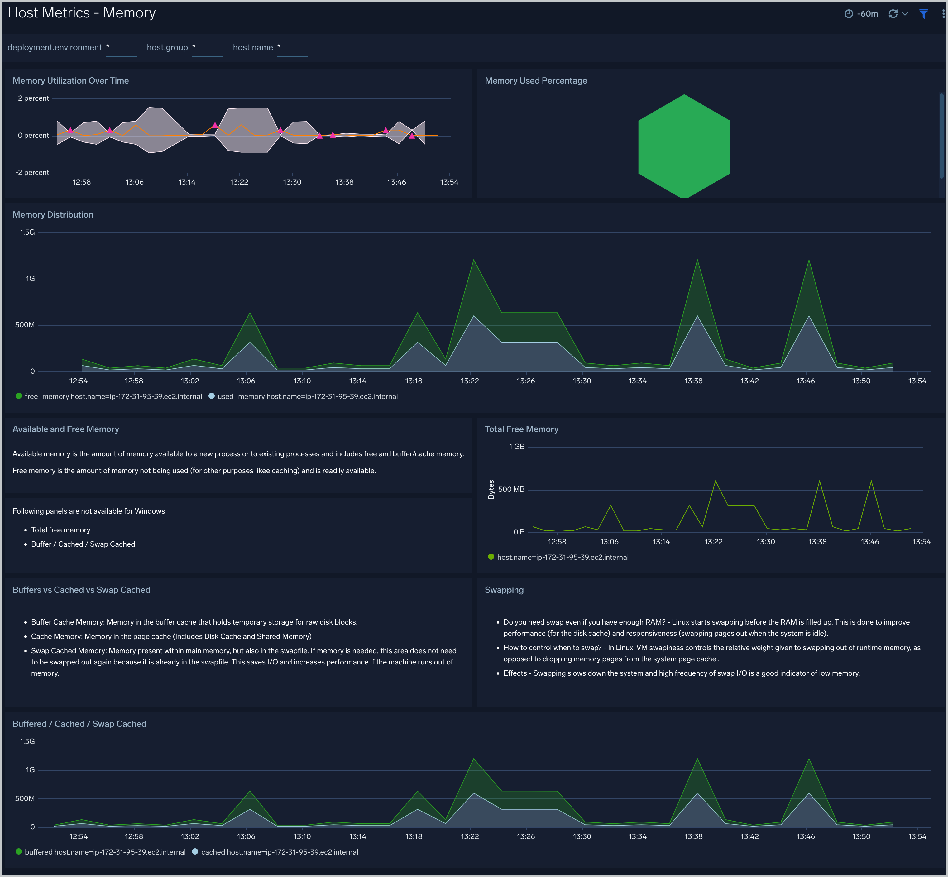 Host Metrics - Memory