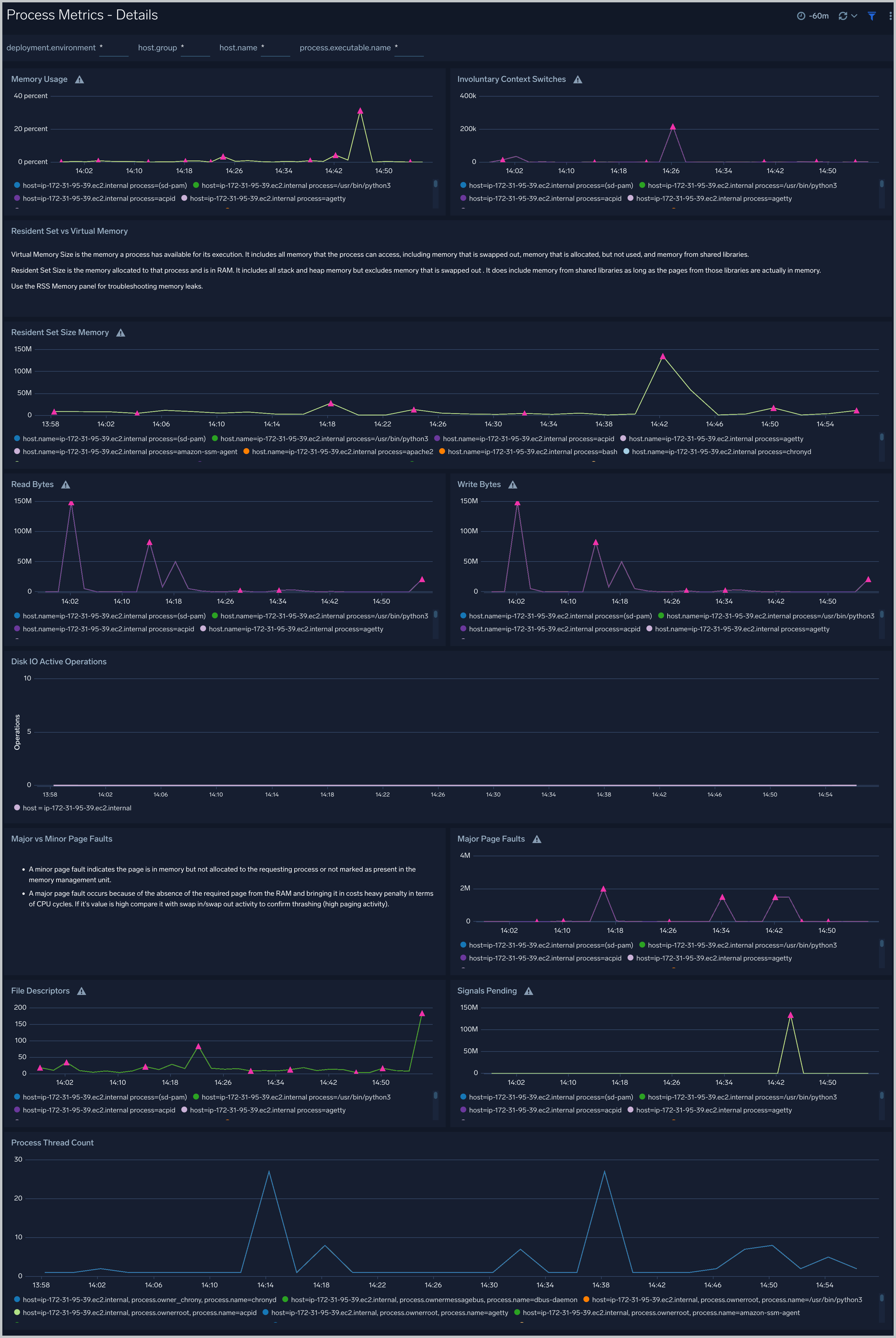 Process Metrics - Details