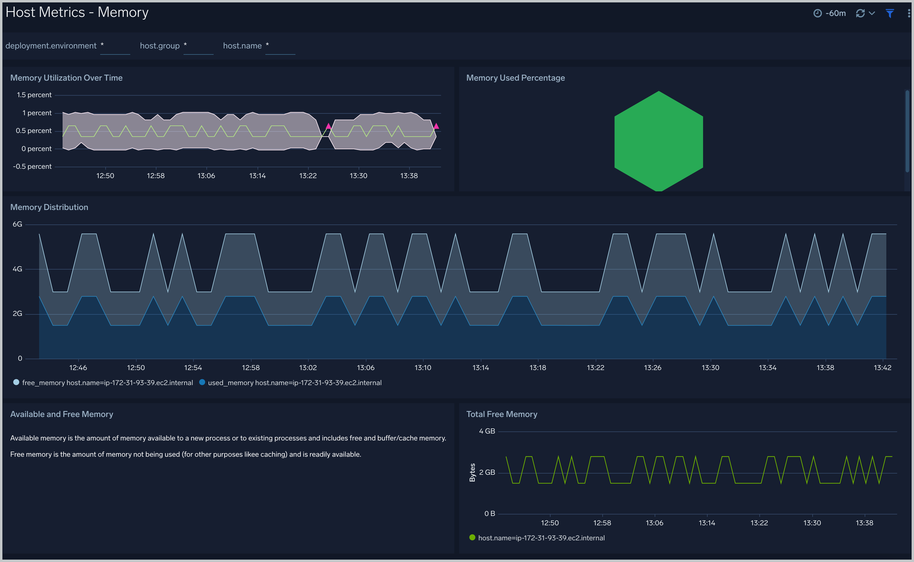 Host Metrics - Memory